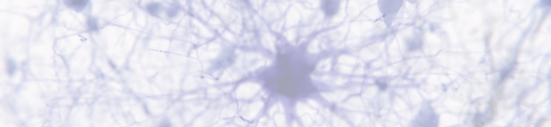 Background Image Desktop
