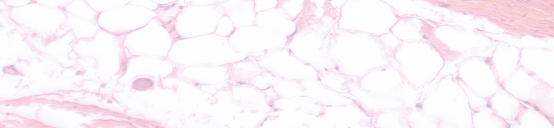 Background Image Desktop