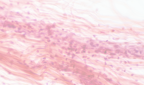 Background Image Mobile