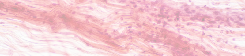 Background Image Desktop