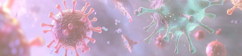 Background Image Desktop