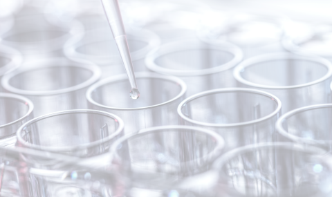 Background Image Mobile