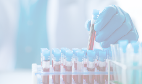 Background Image Mobile