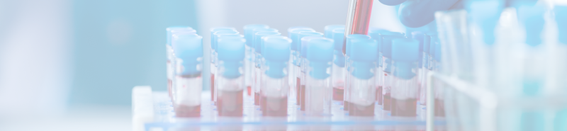 Background Image Desktop