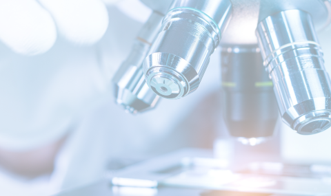 Background Image Mobile