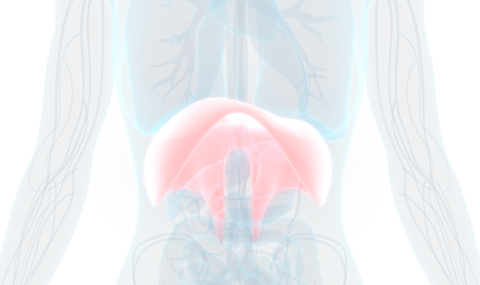 Background Image Mobile