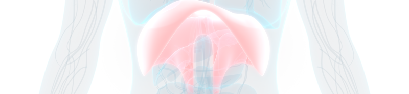 Background Image Desktop