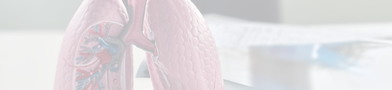 Background Image Desktop