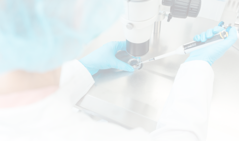 Background Image Mobile