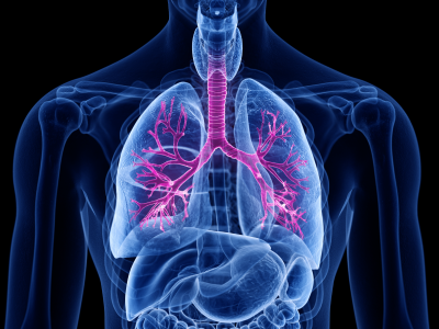 NCCN Guidelines