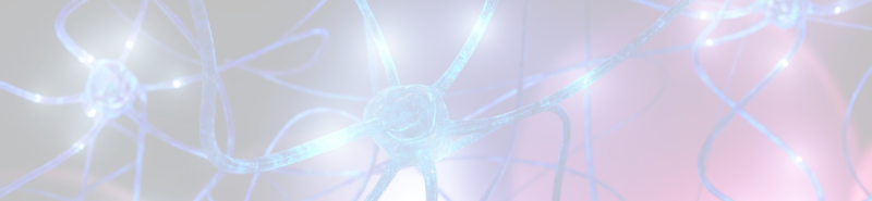 Background Image Desktop
