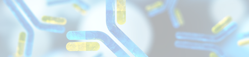 Background Image Desktop