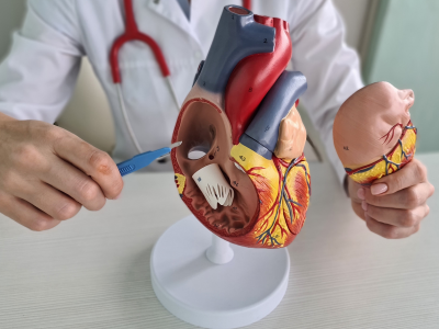  NCCN Guidelines
