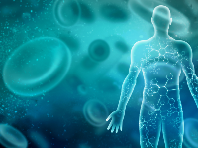 NCCN Guidelines