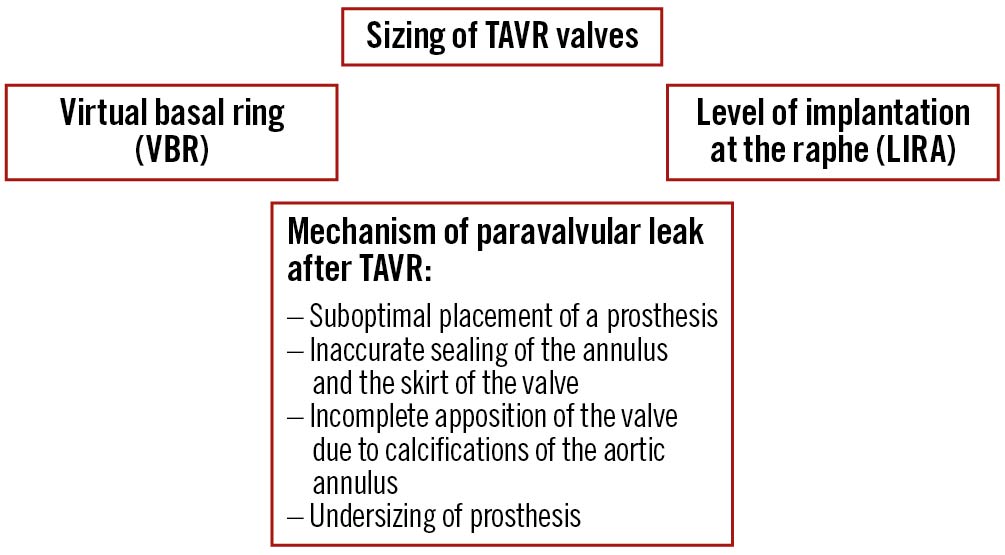 Accurate sizing of bicuspid valves for TAVR - where do we draw the line?