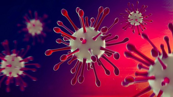 COVID may trigger hyperglycemia by harming fat cells | Cornell Chronicle