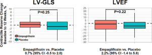 The Effect of Empagliflozin on Contractile Reserve in Heart Failure: Prespecified Sub-Study of a Randomized, Double-Blind, and Placebo-Controlled Trial