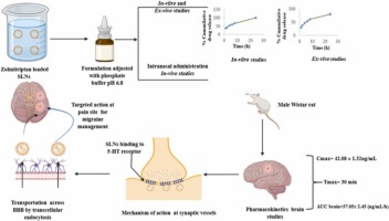 Nose-to-brain lipid nanocarriers: An active transportation across BBB in migraine management
