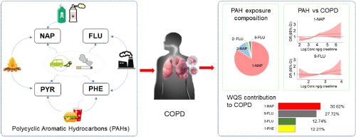 Polycyclic aromatic hydrocarbon exposure burden: Individual and mixture analyses of associations with chronic obstructive pulmonary disease risk