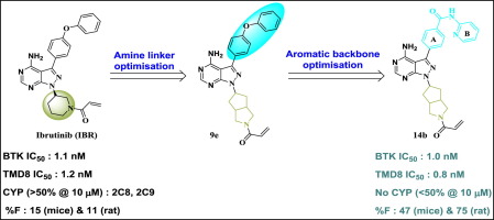 Design, synthesis and biological evaluation of novel pyrazolo-pyrimidin-amines as potent and selective BTK inhibitors
