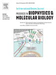 Exploring different computational approaches for effective diagnosis of breast cancer