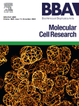 Resistance to CDK4/6 inhibition: Mechanisms and strategies to overcome a therapeutic problem in the treatment of hormone receptor-positive metastatic breast cancer