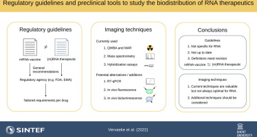 Regulatory guidelines and preclinical tools to study the biodistribution of RNA therapeutics