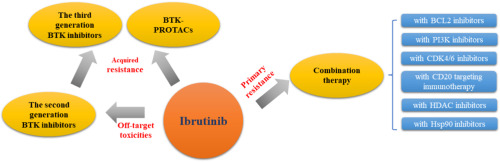 Review of the development of BTK inhibitors in overcoming the clinical limitations of ibrutinib