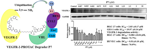Discovery of novel VEGFR-2-PROTAC degraders based on the localization of lysine residues via recruiting VHL for the treatment of gastric cancer