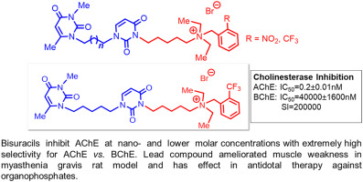 Novel slow-binding reversible acetylcholinesterase inhibitors based on uracil moieties for possible treatment of myasthenia gravis and protection from organophosphate poisoning