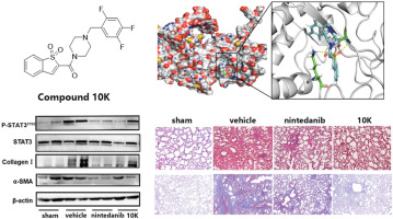 Discovery of the novel Benzo[b]thiophene 1,1-dioxide derivatives as a potent STAT3 inhibitor against idiopathic pulmonary fibrosis