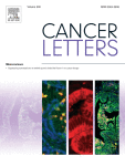 Racial disparities in prostate cancer: A complex interplay between socioeconomic inequities and genomics