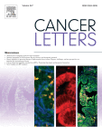 Lineage plasticity in prostate cancer: Looking beyond intrinsic alterations