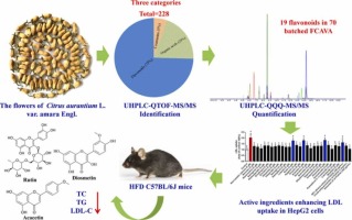 Comprehensive chemical profiling of the flowers of Citrus aurantium L. var. amara Engl. and uncovering the active ingredients of lipid lowering