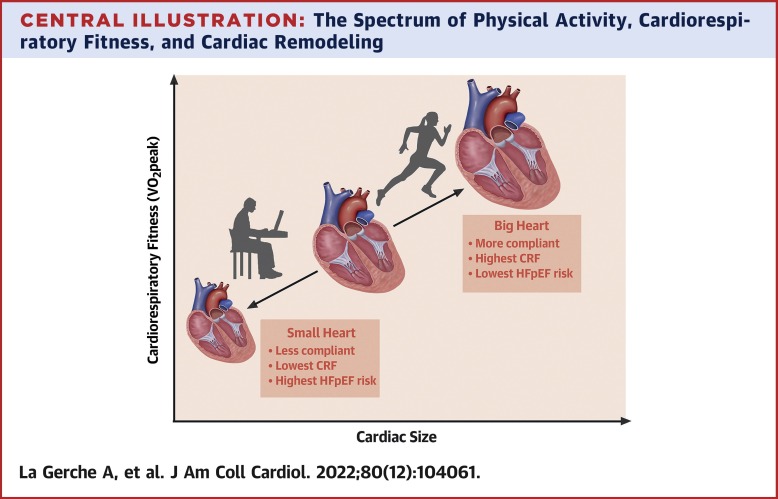 Heart Failure With Preserved Ejection Fraction as an Exercise Deficiency Syndrome: JACC Focus Seminar 2/4