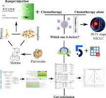 Effect of kangai injection combined with platinum-based chemotherapy on the immune function of patients with advanced non-small-cell lung cancer: A meta-analysis