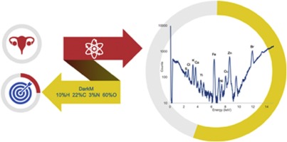 Analysis of human tissues using Energy Dispersive X Ray Fluorescence - Dark matrix determination for the application to cancer research