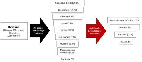 Ibrutinib-associated dermatologic toxicities: A systematic review and meta-analysis