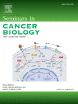 Exosomes and prostate cancer management