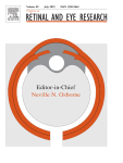 Towards a better understanding of non-exudative choroidal and macular neovascularization