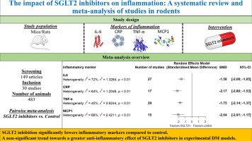 The impact of SGLT2 inhibitors on inflammation: A systematic review and meta-analysis of studies in rodents