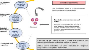 An overview of prostate cancer (PCa) diagnosis: Potential role of miRNAs