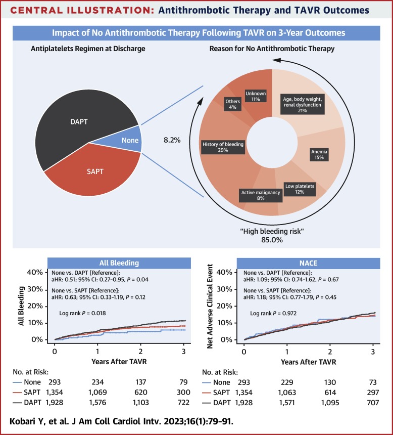 No Antithrombotic Therapy After Transcatheter Aortic Valve Replacement: Insight From the OCEAN-TAVI Registry