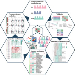 Integrative pharmacogenomics revealed three subtypes with different immune landscapes and specific therapeutic responses in lung adenocarcinoma