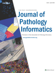 AI-based prostate analysis system trained without human supervision to predict patient outcome from tissue samples