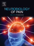 Investigation on how dynamic effective connectivity patterns encode the fluctuating pain intensity in chronic migraine