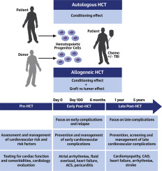 How to Perform Hematopoietic Stem Cell Transplantation
