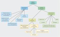 Development of Hormonal Intravaginal Rings: Technology and Challenges