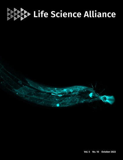 HIV-1 infection enhances innate function and TLR7 expression in female plasmacytoid dendritic cells