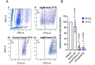 B-cell receptor dependent phagocytosis and presentation of particulate antigen by chronic lymphocytic leukemia cells